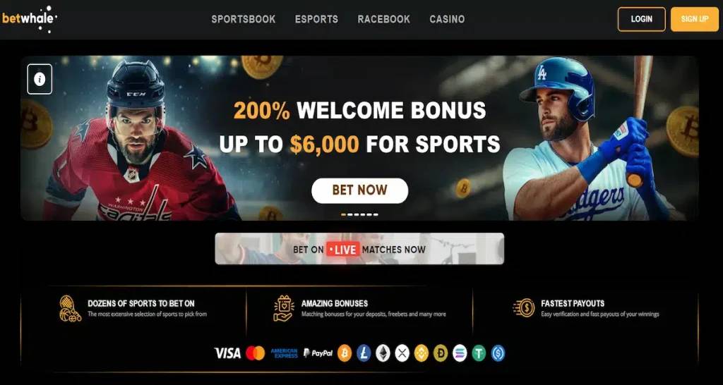 BetWhale sportsbook for crypto bettors and esports fans, featuring 24-hour payouts and sleek offshore betting experience.